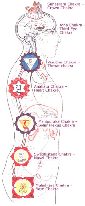 chakra theory