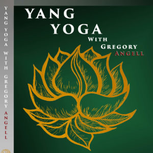Yang yoga DVD case v3